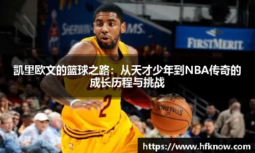 九游会j9官网